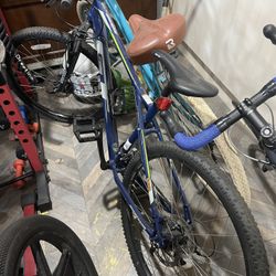Mountain Bike 