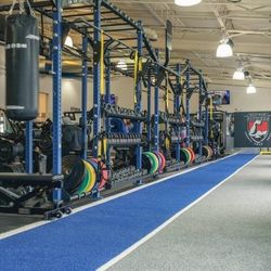 Hammer Strength  Rig