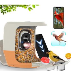 Bird Feeder with Camera