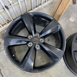 Black Package Rims Oem Mustang 