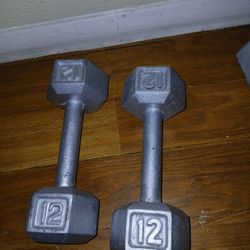 Dumbbells Mancuernas 