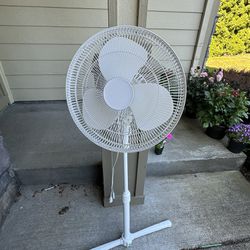 Fan Used Like Brand New 