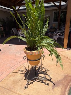 Plant holder with potted fern