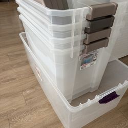 Sterilite Storage Bins
