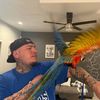 Jay