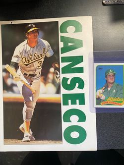 Jose Canseco mlb