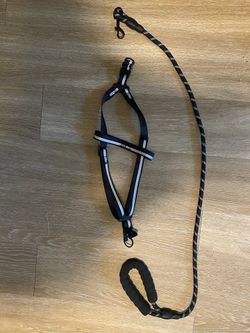Brand new leash and harness (dog)