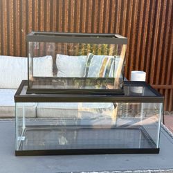 10 Gallon Tank and A 20 Gallon Tank 