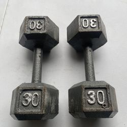 30 Pound DUMBELLS 