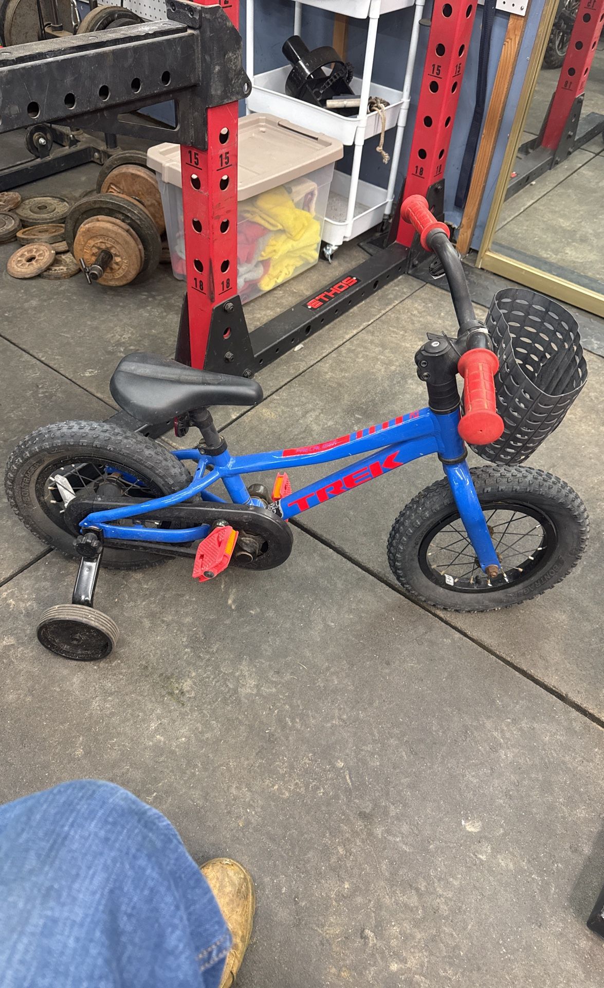 Trek Bike