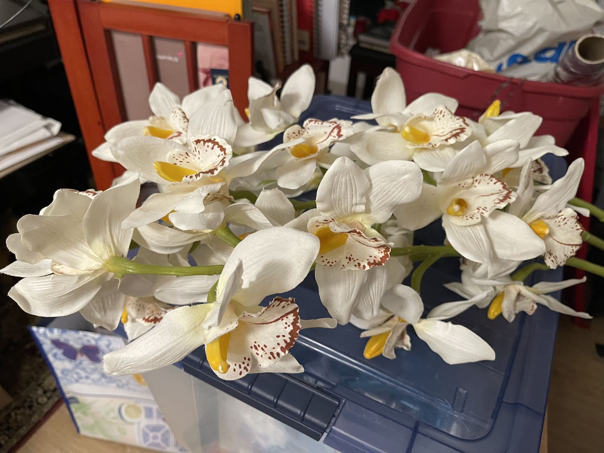 White Orchids On 3 Stems Looks So Real!