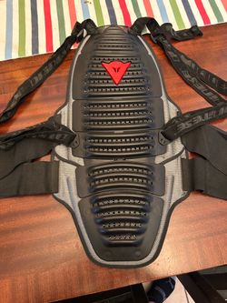 Dainese back protector
