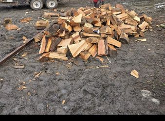 Seasoned Wood Evergreen Mix