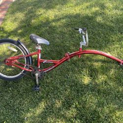 WeeRide Bike Trailer