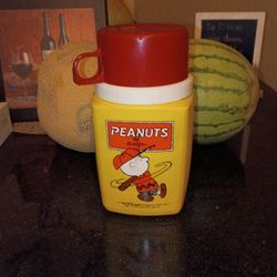 Peanuts-Charlie Brown Thermos