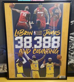 LeBron James 16x20 Framed Poster