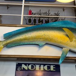Dorado mahi-mahi fish mount taxidermy
