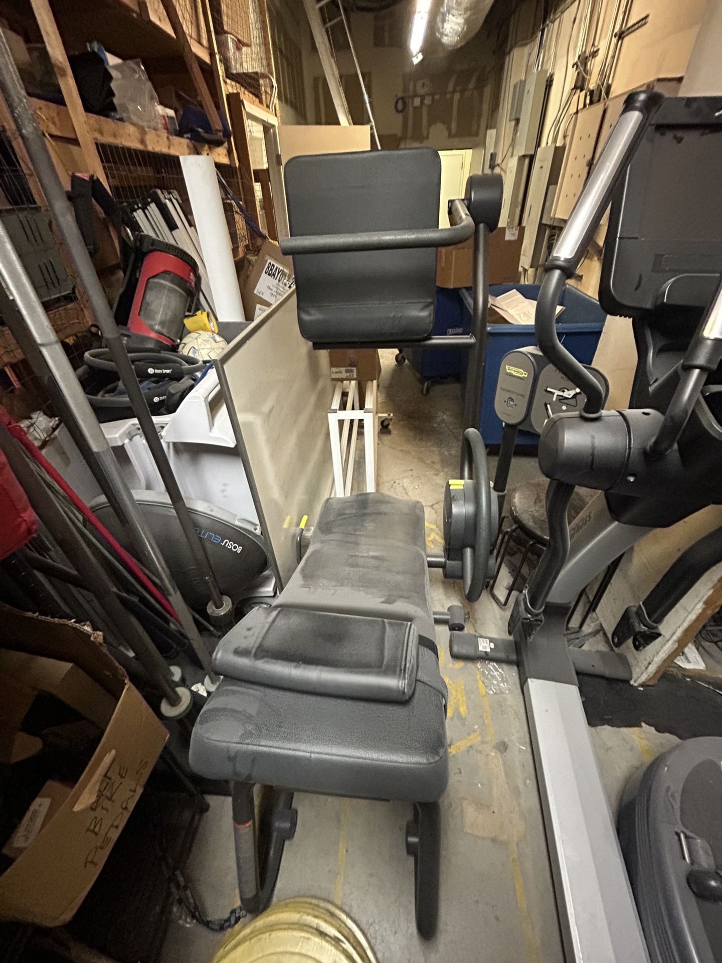 Technogym Flexibility Posterior