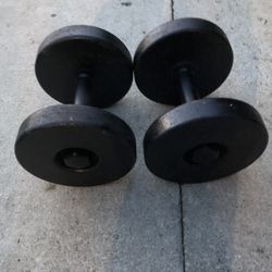 Pair of 30 Dumbbells 
