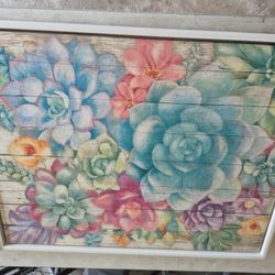 Bright Succulent Pictures