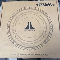 12 Inch Subwoofer Driver 12WIv3