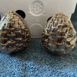Avon Candles - Pine Cones