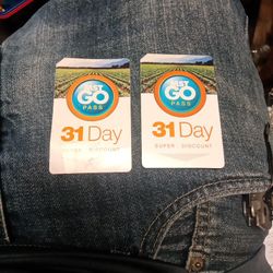 2  X MST GO Pass 31 Day