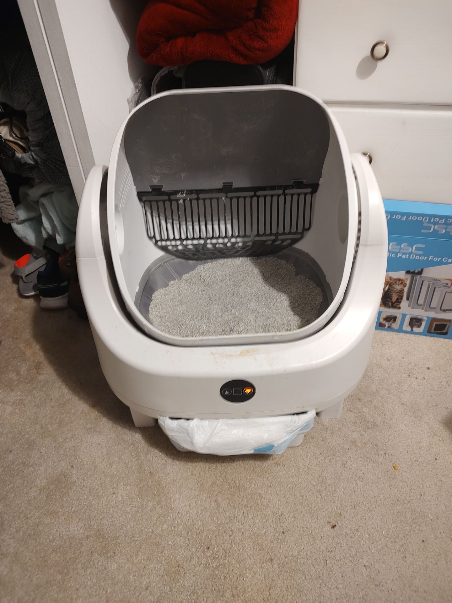 Automatic cat box