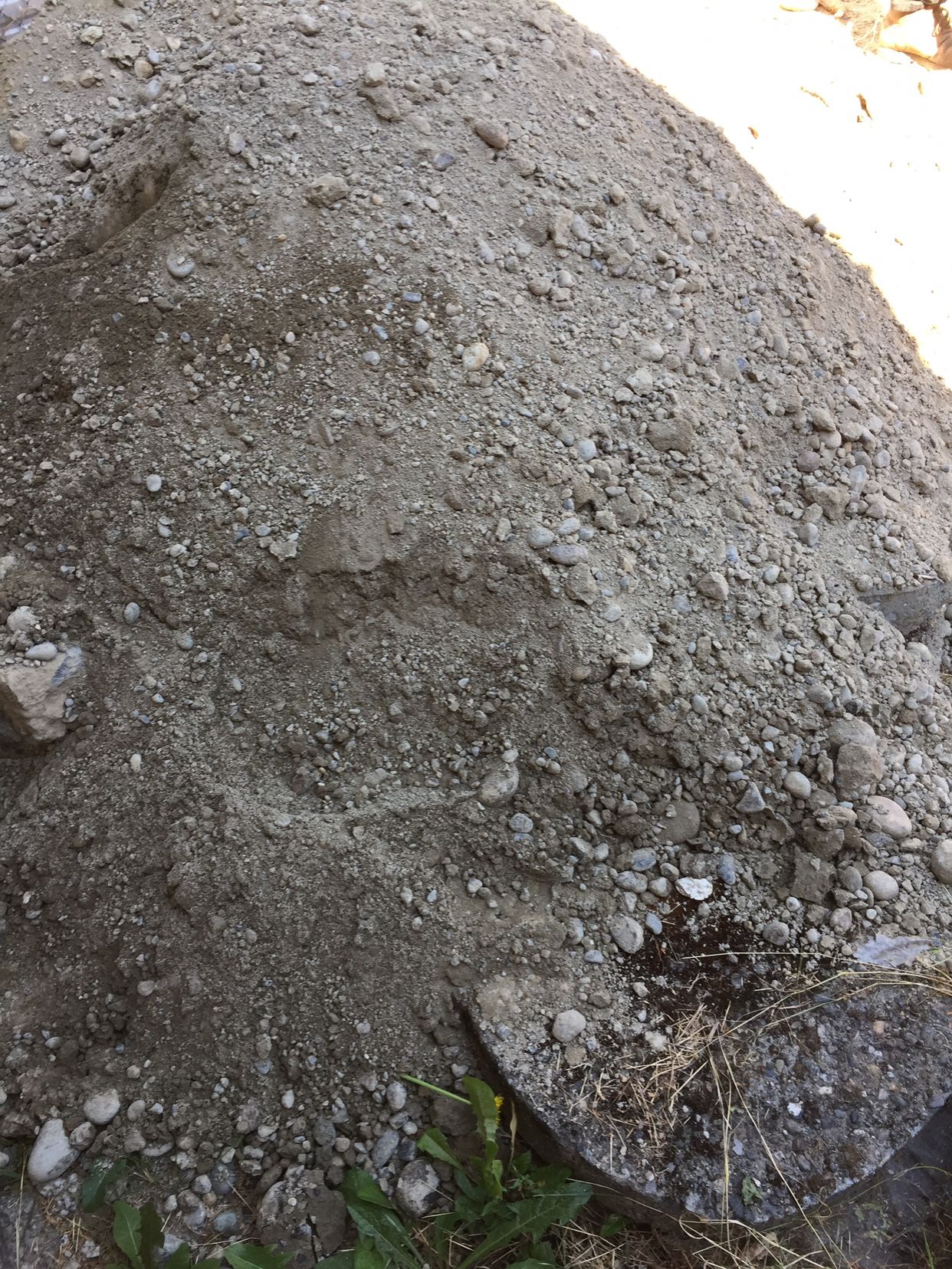 Free Soil