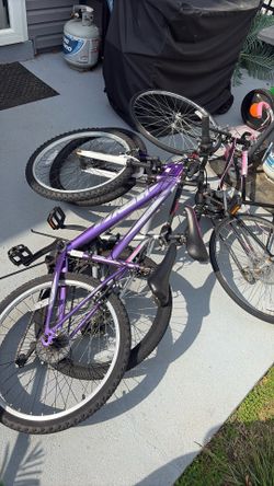 Free Women’s Bikes!
