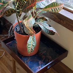 Beautiful Wooden Resin Tray