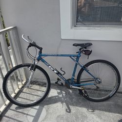 GT Mt. Bike  & a 2 Bike Car Rack. 