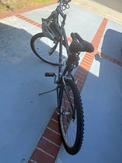 Giant bicycle