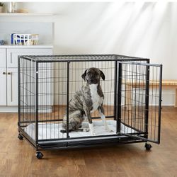 Dog Cage