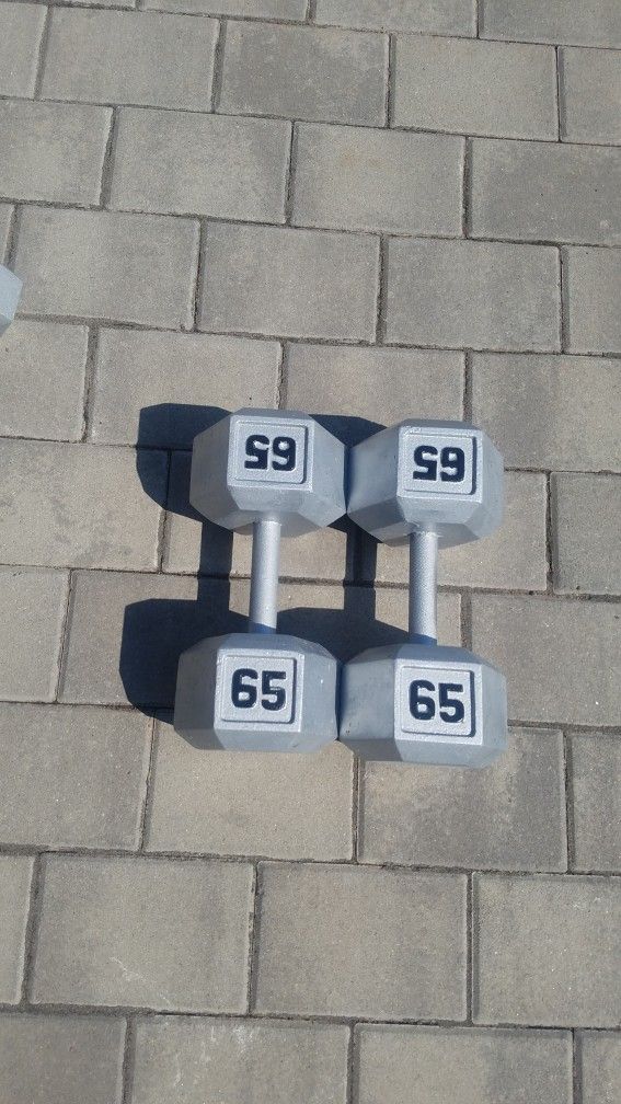 65LB Dumbbell Set