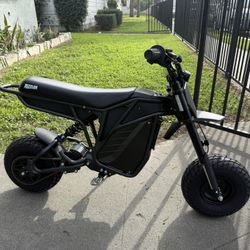Electro & Co Rizzler E-Bike