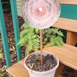 Forever Blooming Flowers