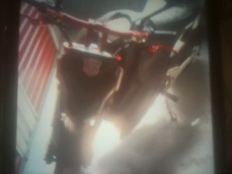 Ebike