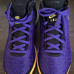 Nike Zoom LeBron Nxxt Gen
