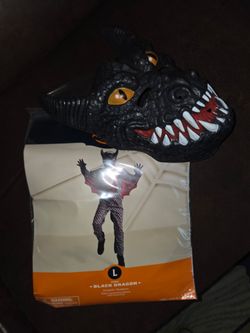 Black Dragon & Mask Costume