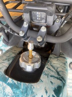 2019 Tao motor 150