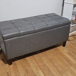 Storage Trunk