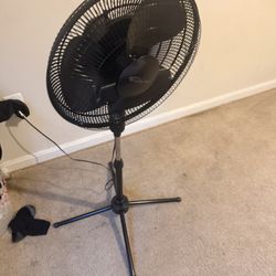 Fan