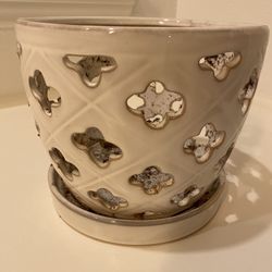 Allen + Roth 8” Ceramic Orchid Plant Pot