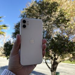 iPhone 11 ⚪️