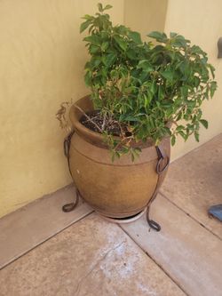 Big pots for plants!!