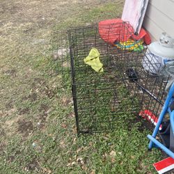 Cage