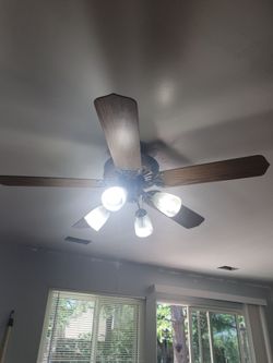 Ceiling Fans