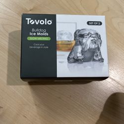 Ice Mold