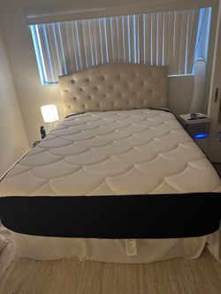 Queen Dreamcloud Hybrid Mattress